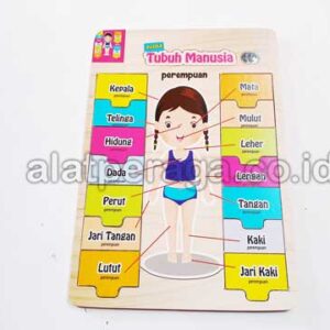 Mainan-Peraga-Edukasi-Puzzle-Anatomi-Tubuh
