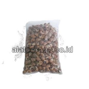 Produsen Distributor Suplier Mainan Peraga Edukasi Kerang Macan Murah