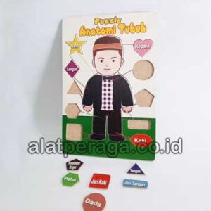 Distributor Suplier Mainan Peraga Edukasi Puzzle Anatomi Tubuh Pria