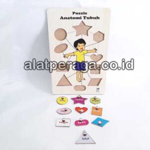 Distributor Suplier Mainan Peraga Edukasi Puzzle Anatomi Tubuh Tangkai