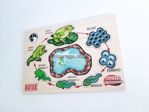 Jual Alat Peraga Edukatif Banggai Laut