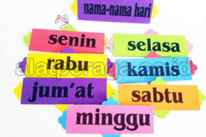 Jual Alat Peraga Edukatif Fakfak