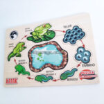 Daftar Harga Alat Peraga Edukatif Terbaru Madiun