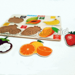 Daftar Harga Alat Peraga Edukatif Terbaru Ponorogo