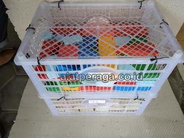 Produsen Alat Peraga Edukatif Balok PDK Warna