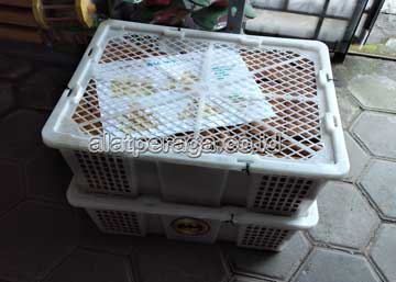 Produsen Alat Peraga Edukatif Karawang