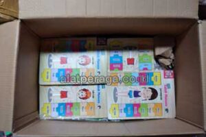 Pengiriman Alat Peraga Edukatif Sidoarjo