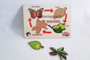 Daftar Harga Alat Peraga Edukatif Merauke