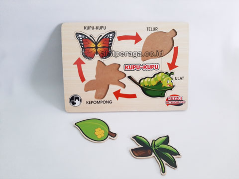 Daftar Harga Alat Peraga Edukatif Merauke