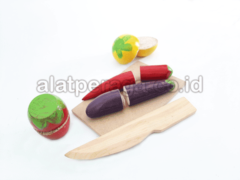 Harga Alat Peraga Edukatif Tanjung Jabung Timur