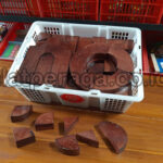 Jual Balok PDK Murah di Sinjai