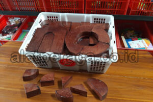 Jual Balok PDK Murah di Tebo